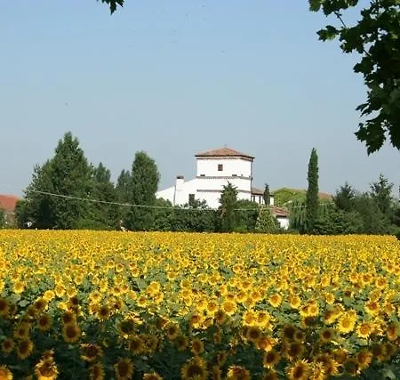 Corte Spino Nogarole Rocca