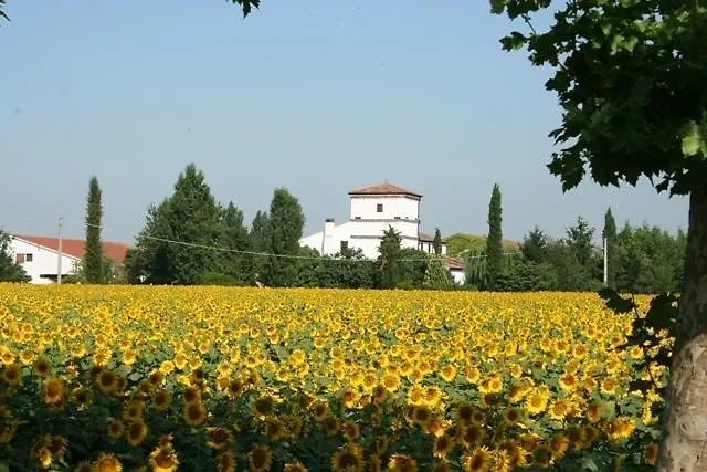 Corte Spino Nogarole Rocca